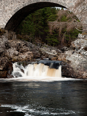 Black Water River