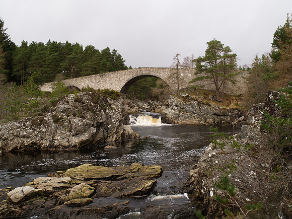 Black Water River