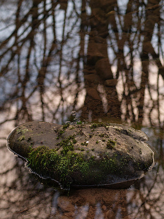 Still Water