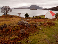 Red Roofed Cottage