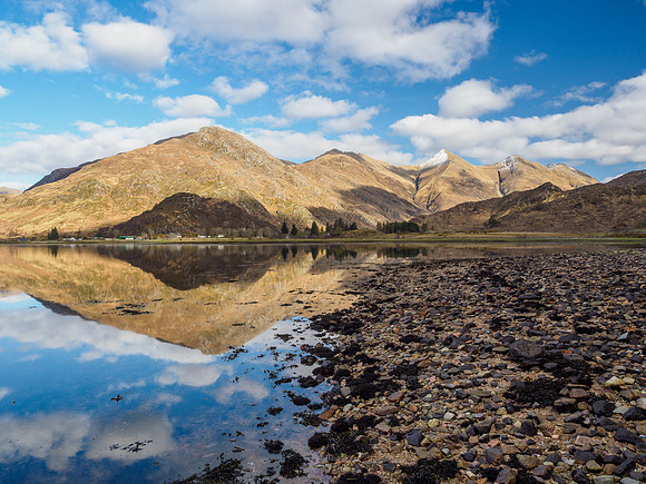 Kintail (2) [1903094]