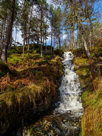 Un-named Falls, Glen Affric [1903038]
