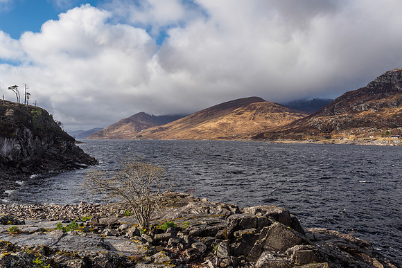 Wild Loch Mullardoch [1903017]