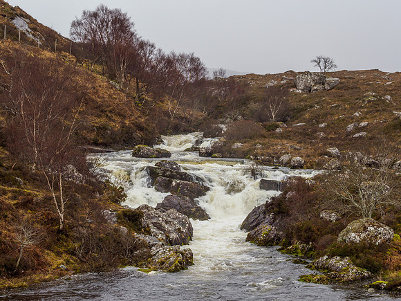 River Balgy (6) [1903054]