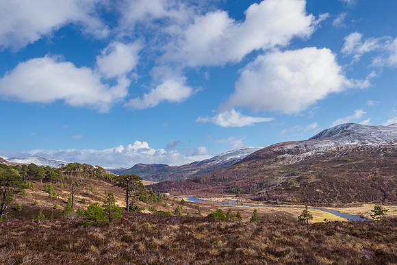 Glen Cannich Views (1) [1903068]