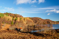 Loch a' Chlachain Boat House (3) [1903012]