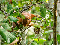20161001-Balmacaan Woods-EM520144