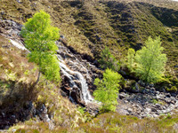 Allt Toll a' Mhuic Walk