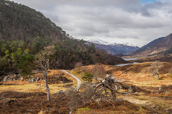 First Trip to Glen Strathfarrar This Year