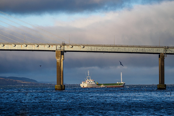 Scot Carrier