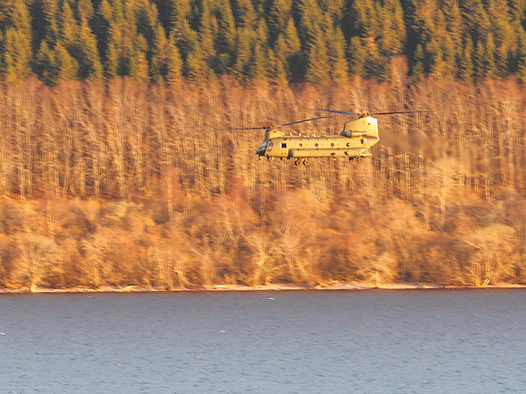 Flying Monster