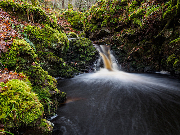 Dunearn Burn