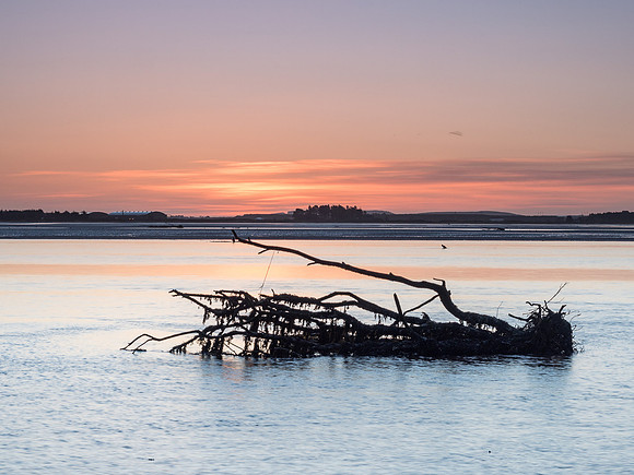 Findhorn Bay Sunrise
