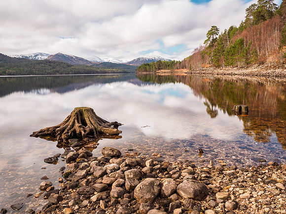 Glen Affric
