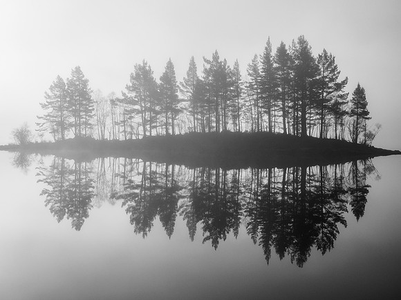 Ink Bloton the Landscape
