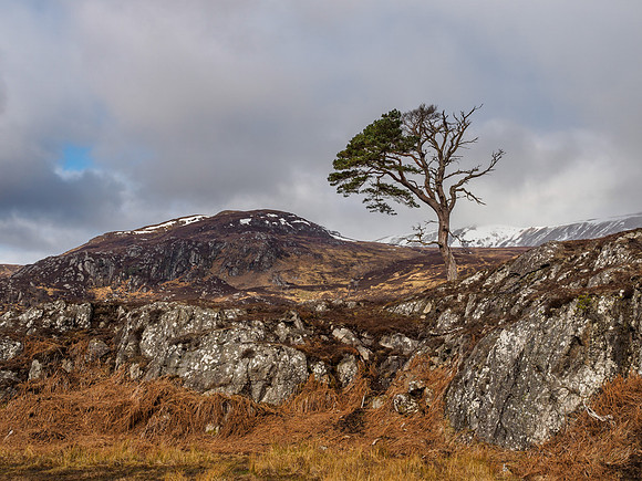 First Trip to Glen Strathfarrar This Year