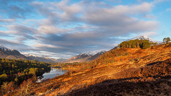 Early Morning in Glen Affric