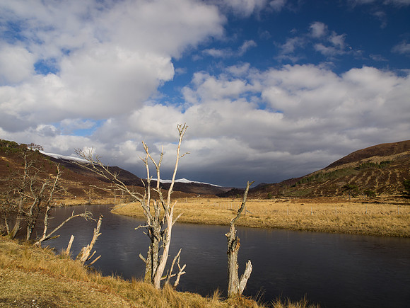 River Cannich