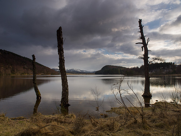 Loch Pityoulish