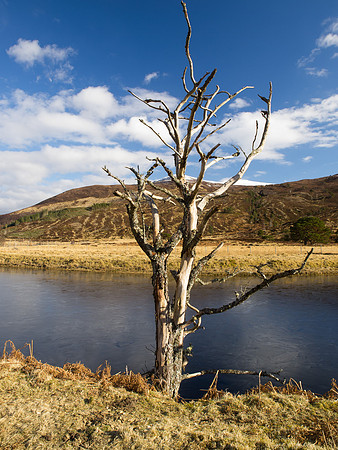 River Cannich