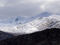 20130329-Glen Strathfarrar-R3294158