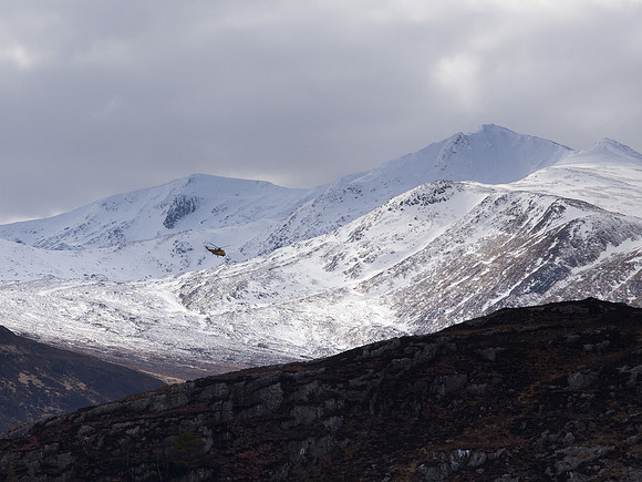 20130329-Glen Strathfarrar-R3294158
