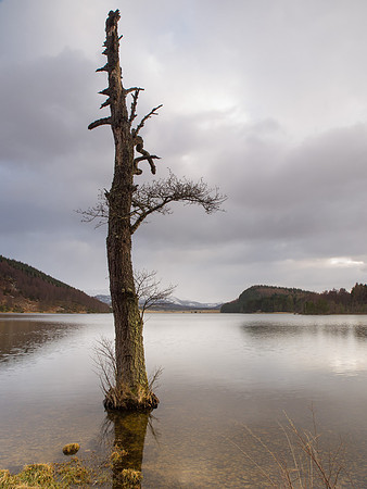 Loch Pityoulish