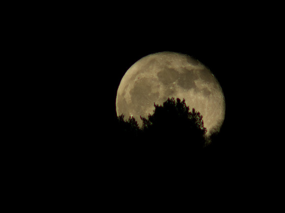 20130328-Moon-R3284057