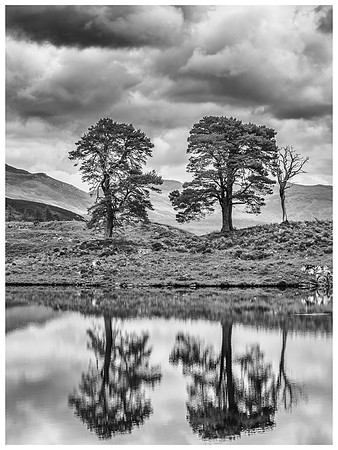 One to Revisit