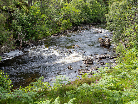 20200715-Glen Strathfarrar-EM126676