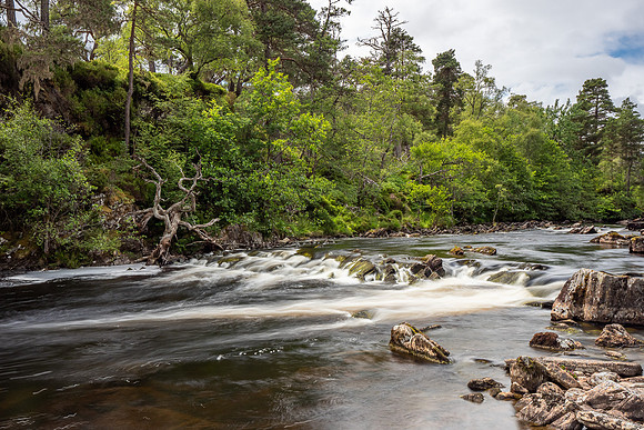 20200715-Glen Strathfarrar-EM126674