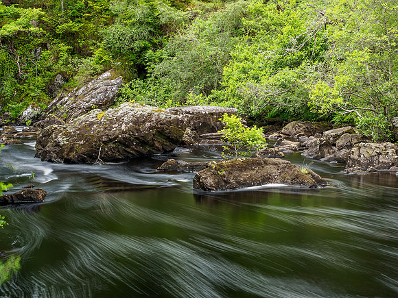 Black Water Streaks