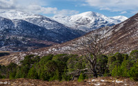 Glen Cannich