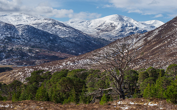 Glen Cannich
