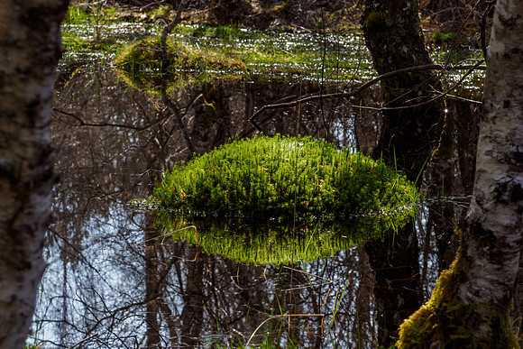 20210415-Strathconon-EM120698