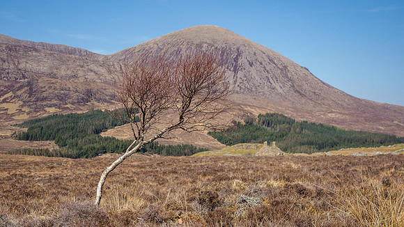 20210424-Skye-EM121253