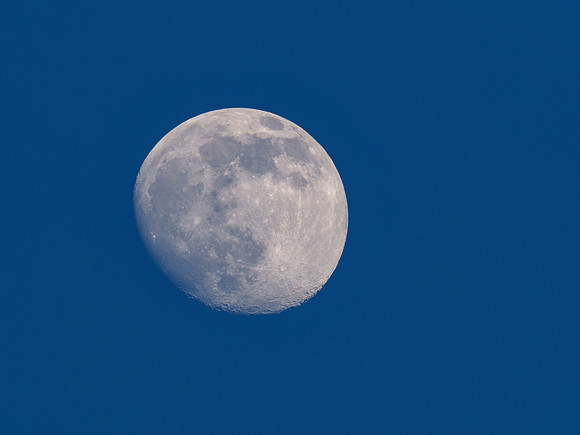 Blue Sky Moon