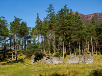 Callum's Croft