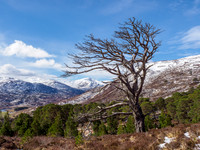 Glen Cannich
