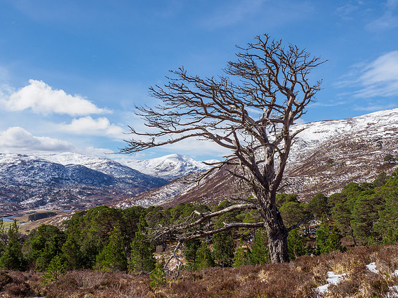 Glen Cannich