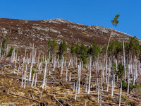20210403-Gleann Mèinich-EM129642