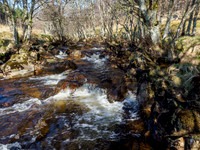 Dappled Light on Allt Gleann Mèinich