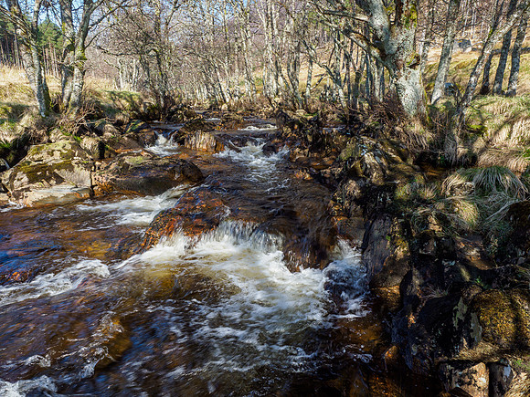 Dappled Light on Allt Gleann Mèinich