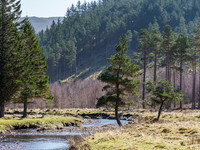 20210403-Gleann Mèinich-EM129639