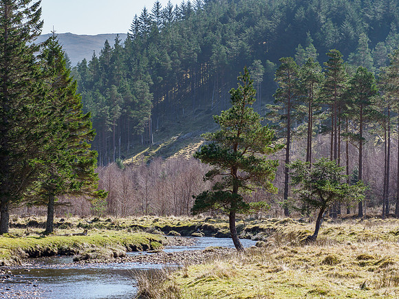 20210403-Gleann Mèinich-EM129639