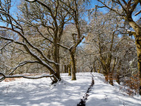 20210406-Balmacaan-EM523023