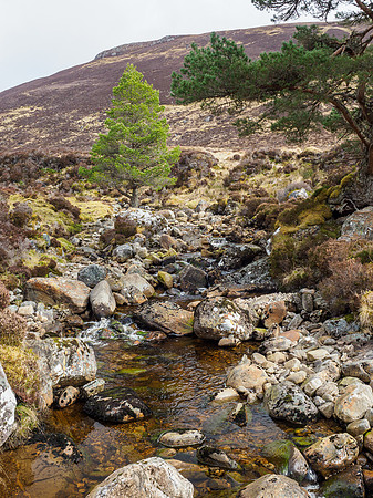 20210402-Glen Cannich-EM129559
