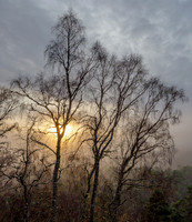 Glen Affric [1911017]