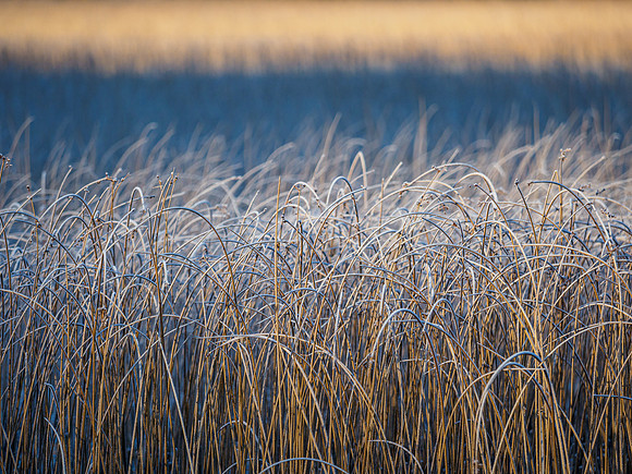 Loch Cill Chriosd [1911039]
