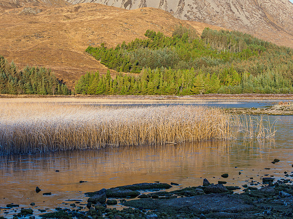 Loch Cill Chriosd [1911040]